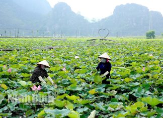 Một số giải pháp phát triển mô hình kinh tế tuần hoàn ở tỉnh Ninh Bình
