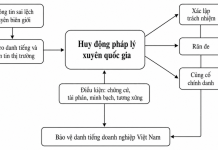 Vingroup và việc huy động pháp lý xuyên quốc gia: hàm ý cho doanh nghiệp Việt Nam