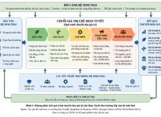 Chuỗi giá trị chè Shan Tuyết Việt Nam theo tiếp cận hệ sinh thái: Thực trạng liên kết và các điểm nghẽn phát triển