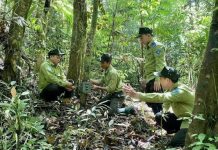 Hoàn thiện quản trị rừng tự nhiên ở Việt Nam theo hướng phát huy giá trị đa chức năng