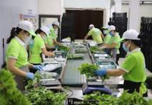 Chính sách cho lao động phi chính thức ở đô thị trong bối cảnh thay đổi chính sách ở Việt Nam hiện nay