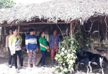 Mối liên hệ giữa đa dạng hóa sinh kế với tình trạng nghèo, cận nghèo của hộ gia đình Việt Nam: bằng chứng thực nghiệm từ VHLSS 2024