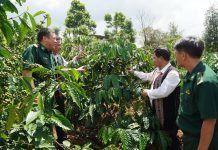 Nâng cao hiệu quả tiếp cận chính sách dân tộc của đồng bào dân tộc thiểu số tại tỉnh Lâm Đồng