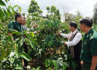 Nâng cao hiệu quả tiếp cận chính sách dân tộc của đồng bào dân tộc thiểu số tại tỉnh Lâm Đồng