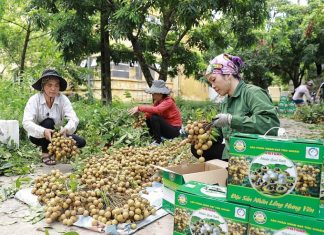 Phát triển nông nghiệp công nghệ cao tại Hưng Yên: Vai trò hạt nhân của doanh nghiệp tư nhân