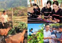 Đào tạo nghề cho lao động vùng dân tộc thiểu số và miền núi bảo đảm sinh kế bền vững