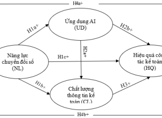 Tác động của năng lực chuyển đổi số đến hiệu quả công tác kế toán tại các doanh nghiệp nhỏ và vừa tại thành phố Đồng Nai