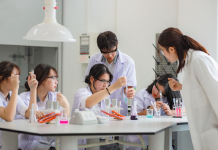Hoàn thiện thể chế quản lý nhà nước về kiểm định chất lượng giáo dục đại học công lập ở Việt Nam