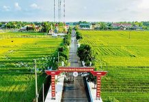 Kinh nghiệm quốc tế điều tiết tác động của đô thị hóa tới lao động, việc làm ở nông thôn và những gợi ý chính sách cho Việt Nam