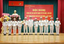 Lãnh đạo phát triển năng lực số của công chức tại Thuế TP. Hồ Chí Minh